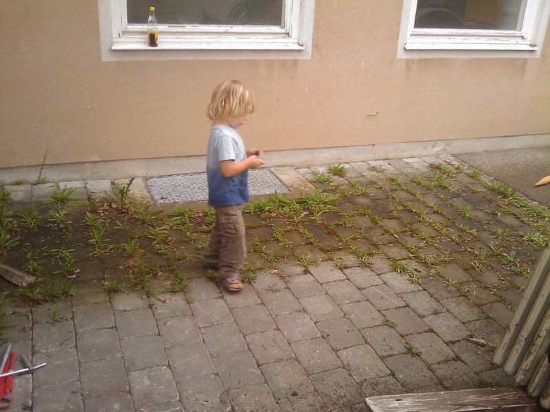 n_Bild-13.jpg