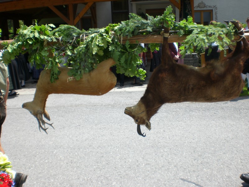 n_Bild-013.jpg