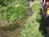 Bild-034.jpg