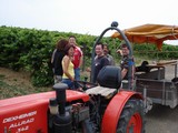 Sa-Bild-020.jpg