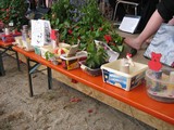 Bild-035.jpg