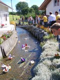 Bild-040.jpg